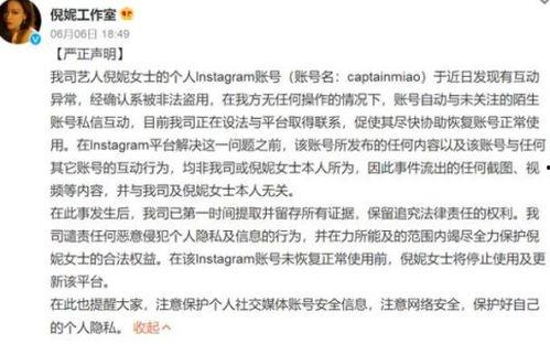 网红大瓜小说免费阅读